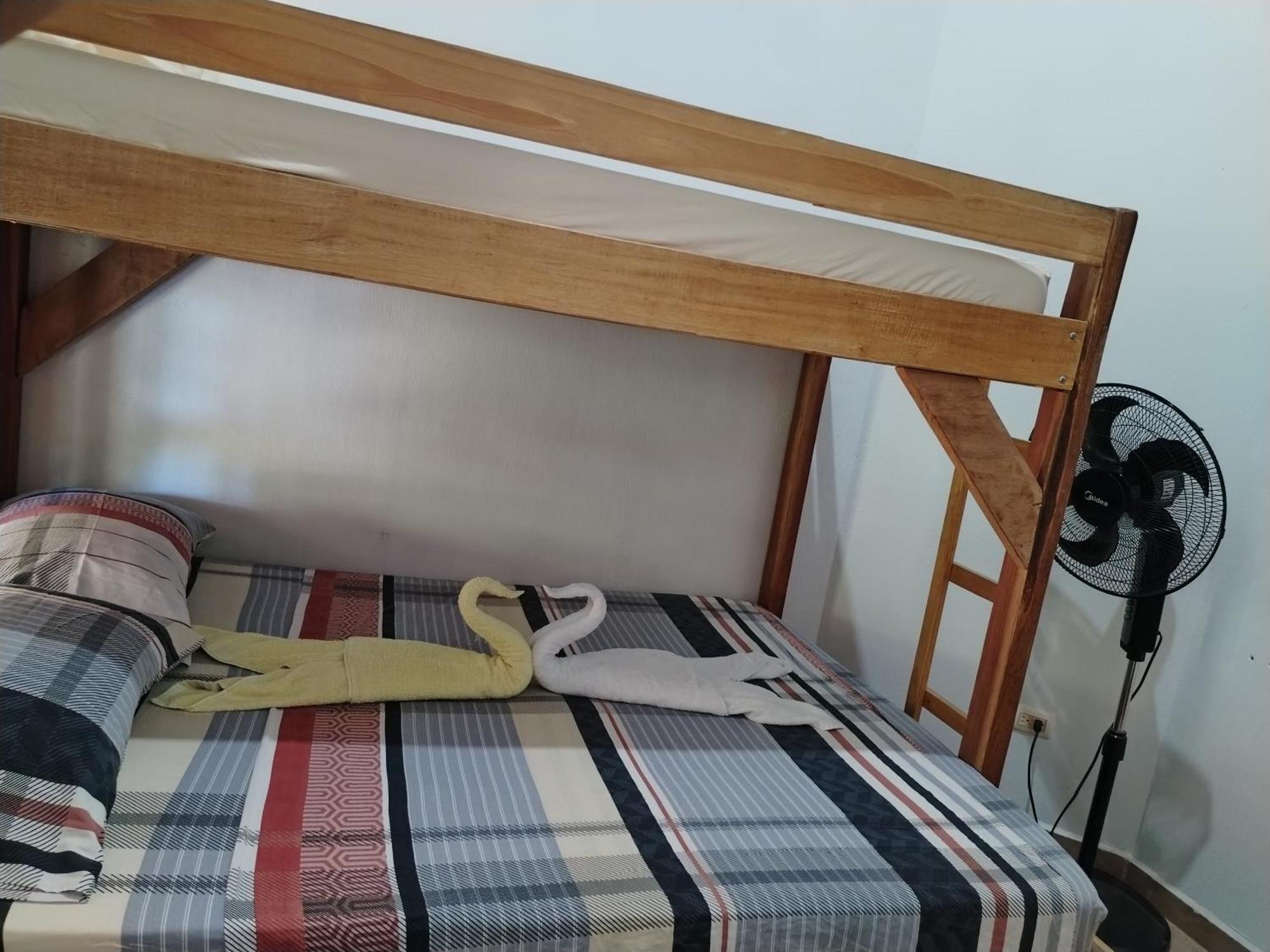 Drakes Bay Osa House - Drake Corcovado Tours Bed & Breakfast エクステリア 写真